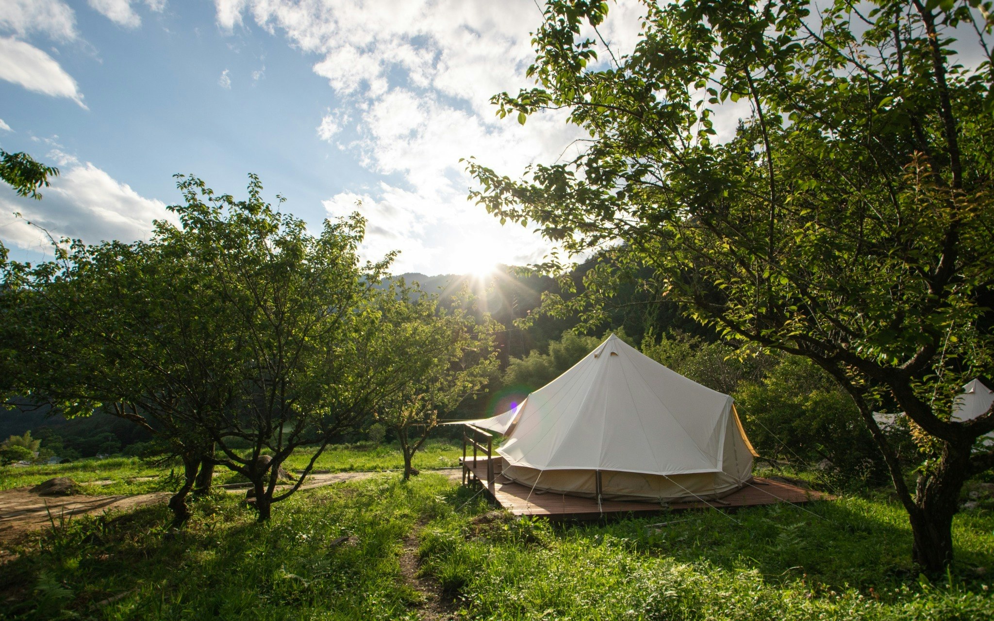 3Comfy camp 4名テント