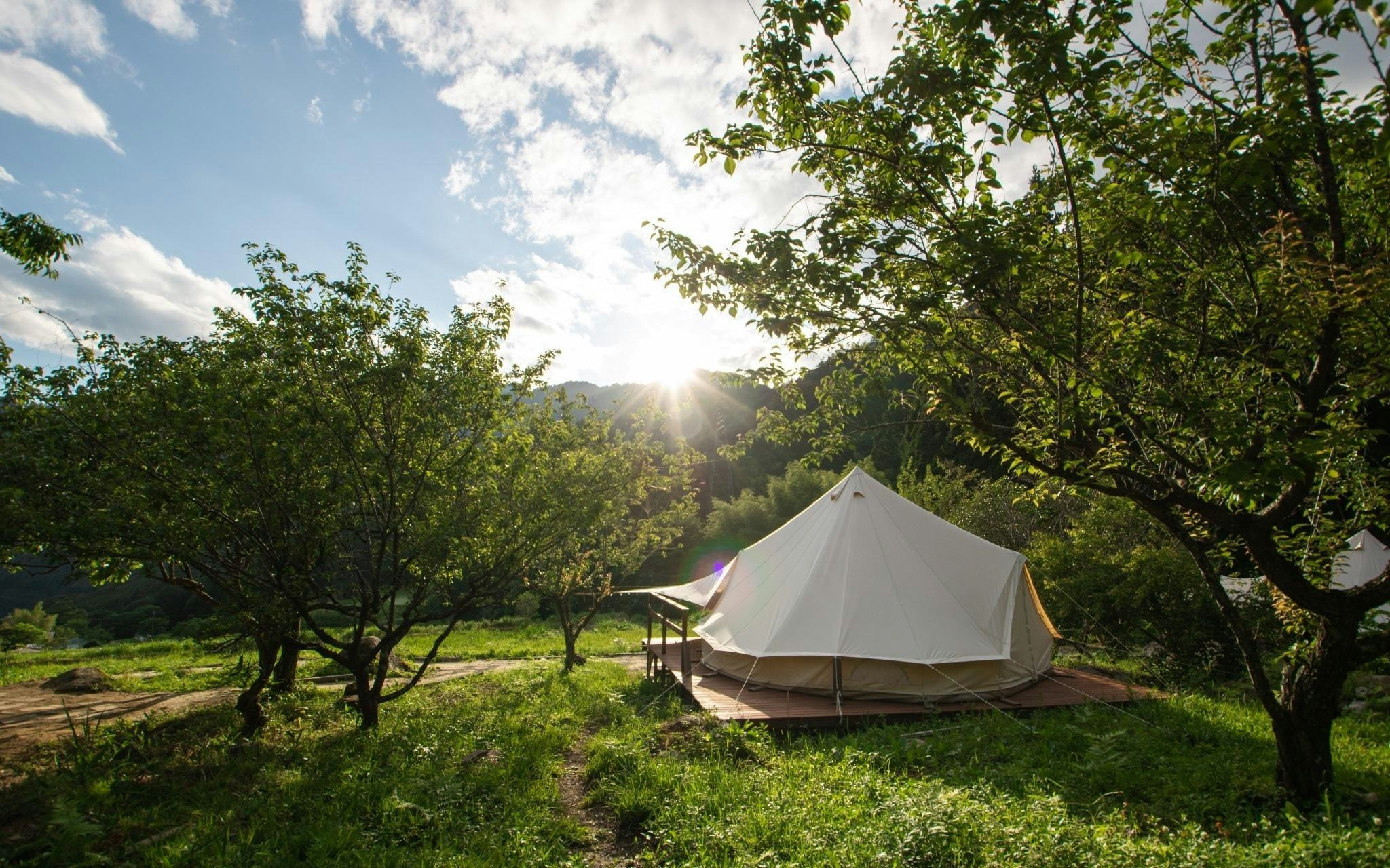 5Comfy camp 4名テント【お得な連泊プラン】通常より10%OFF